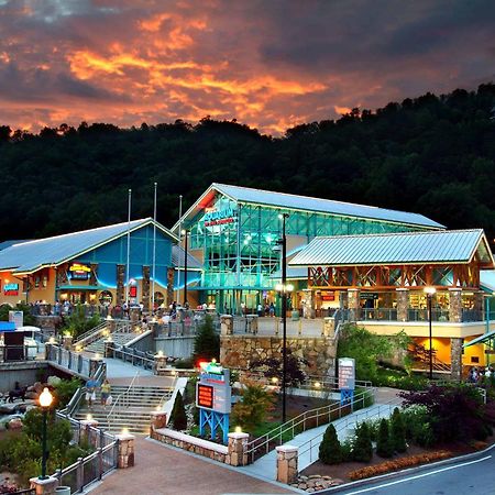 The Solstice - Amenities Galore Mountain Retreat Gatlinburg Esterno foto