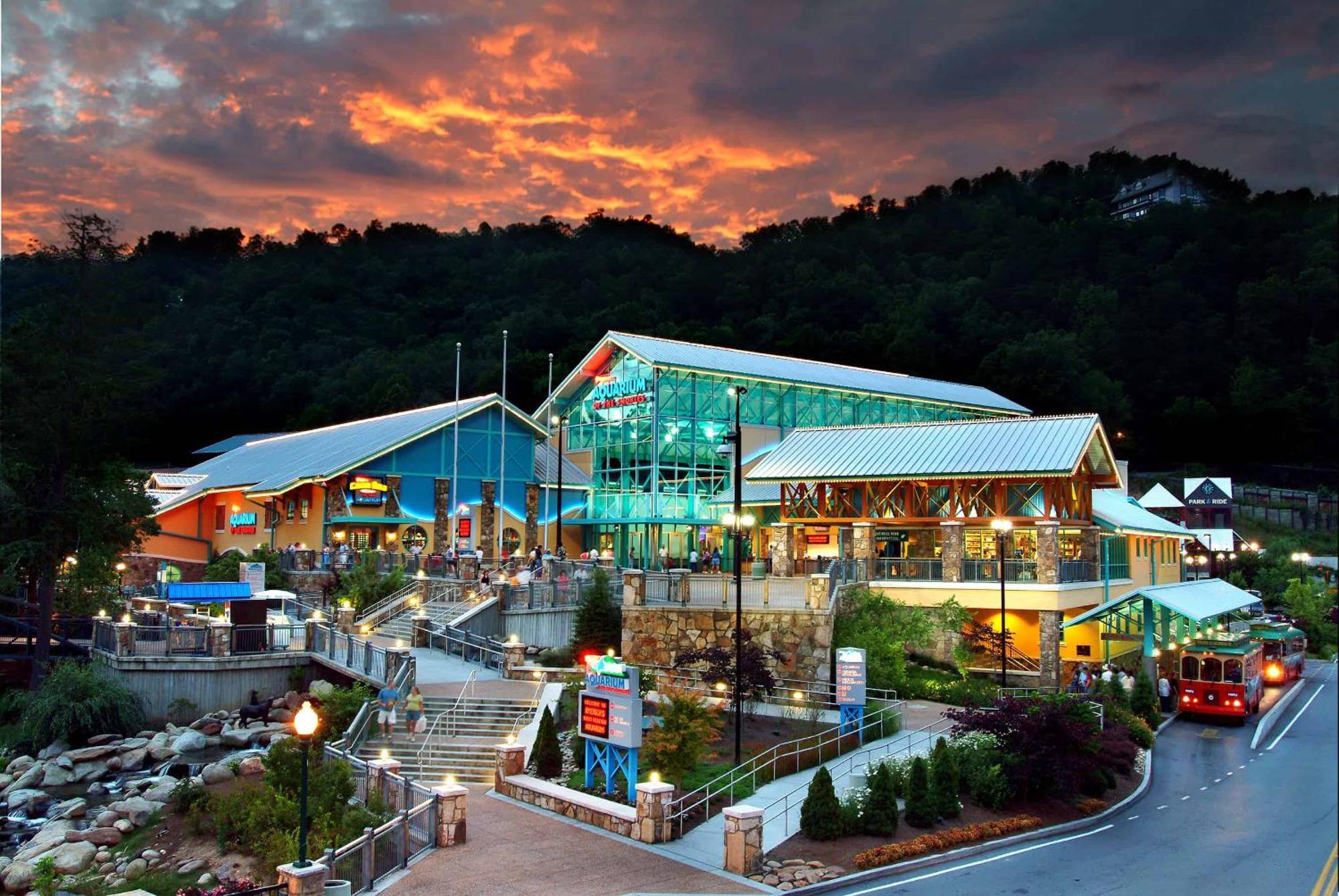 The Solstice - Amenities Galore Mountain Retreat Gatlinburg Esterno foto